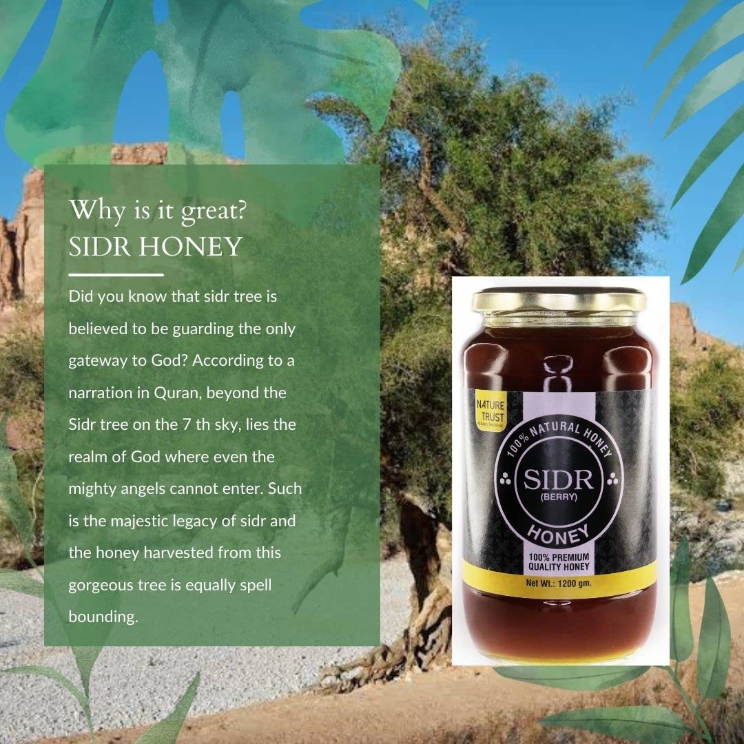 NATURE TRUST Sidr Honey Raw Honey 1200G- Unprocessed, Unfiltered
